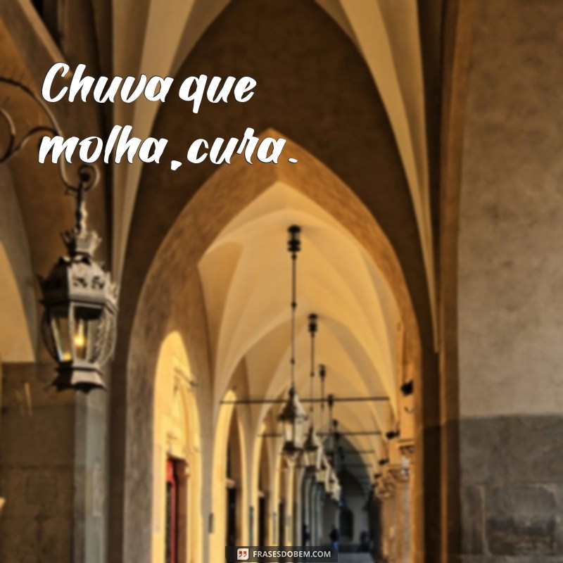 Descubra as melhores frases para curtir um banho de chuva revigorante 