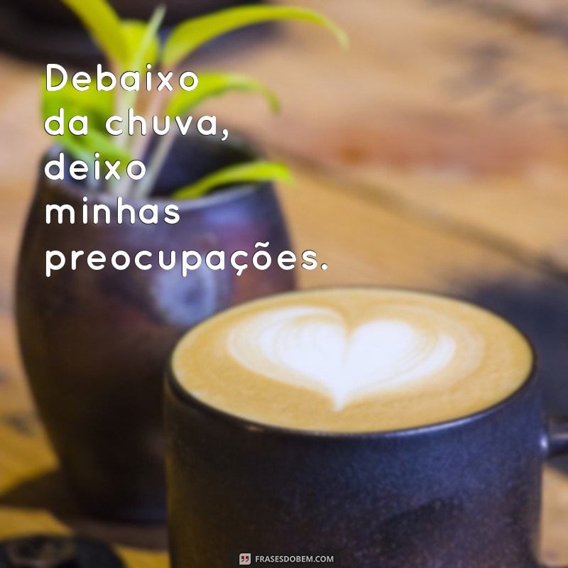 Descubra as melhores frases para curtir um banho de chuva revigorante 