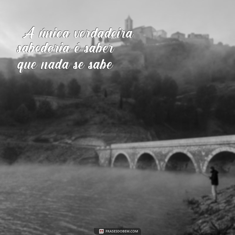 frases de sócrates sobre conhecimento “A única verdadeira sabedoria é saber que nada se sabe.”