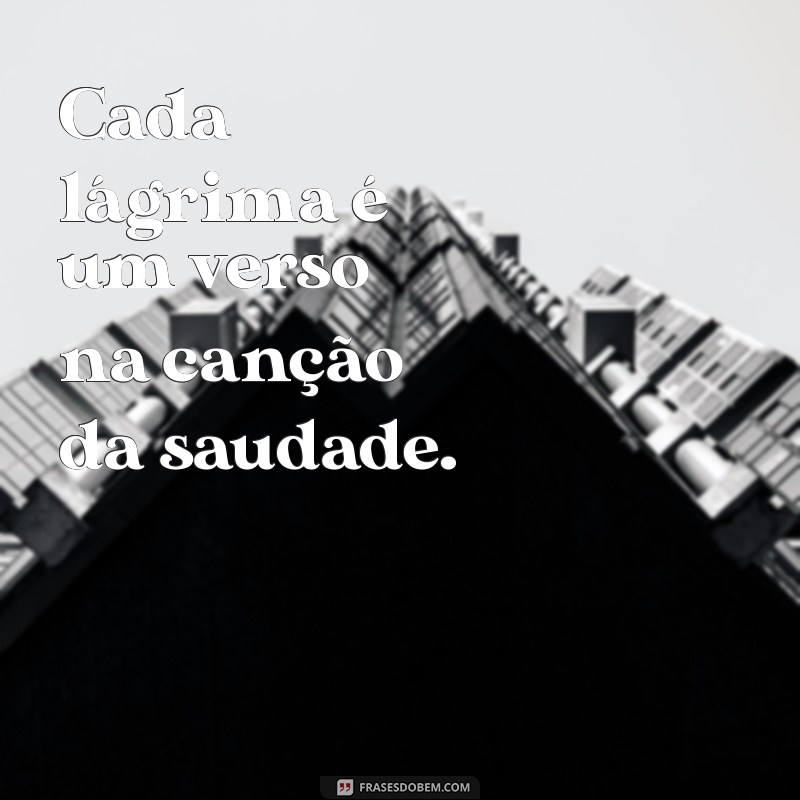 As Melhores Frases de Música Sertaneja para Inspirar Seu Coração 