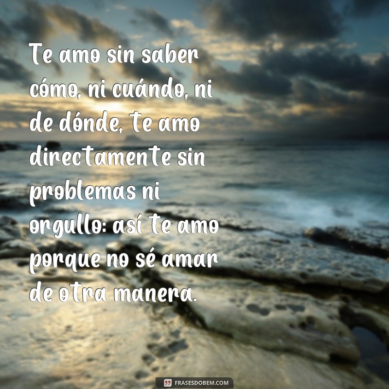 Descubra as mais belas e inspiradoras frases de amor de Pablo Neruda 