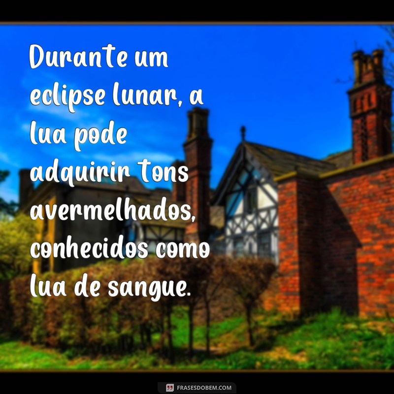 Descubra as melhores frases de eclipse para se inspirar e refletir 