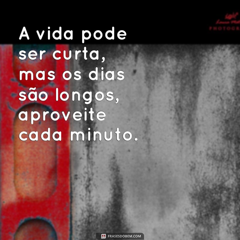 365 dias de inspiração: as melhores frases para cada dia do ano 