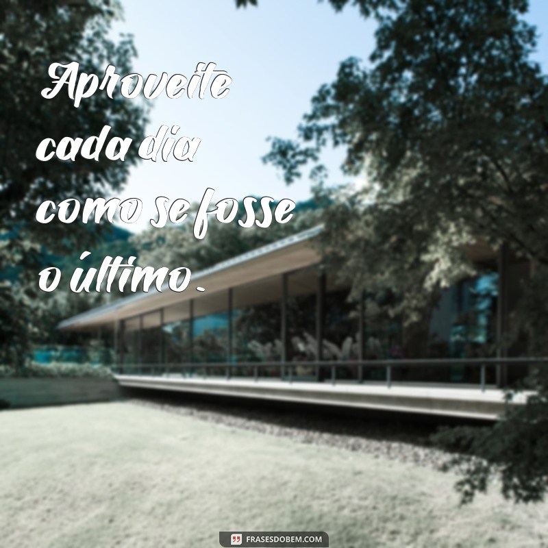 365 dias de inspiração: as melhores frases para cada dia do ano 