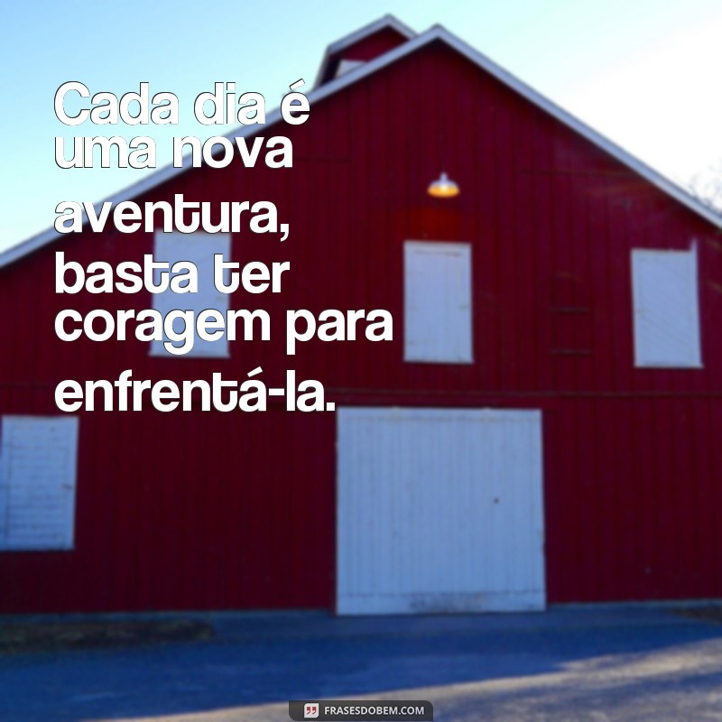 365 dias de inspiração: as melhores frases para cada dia do ano 