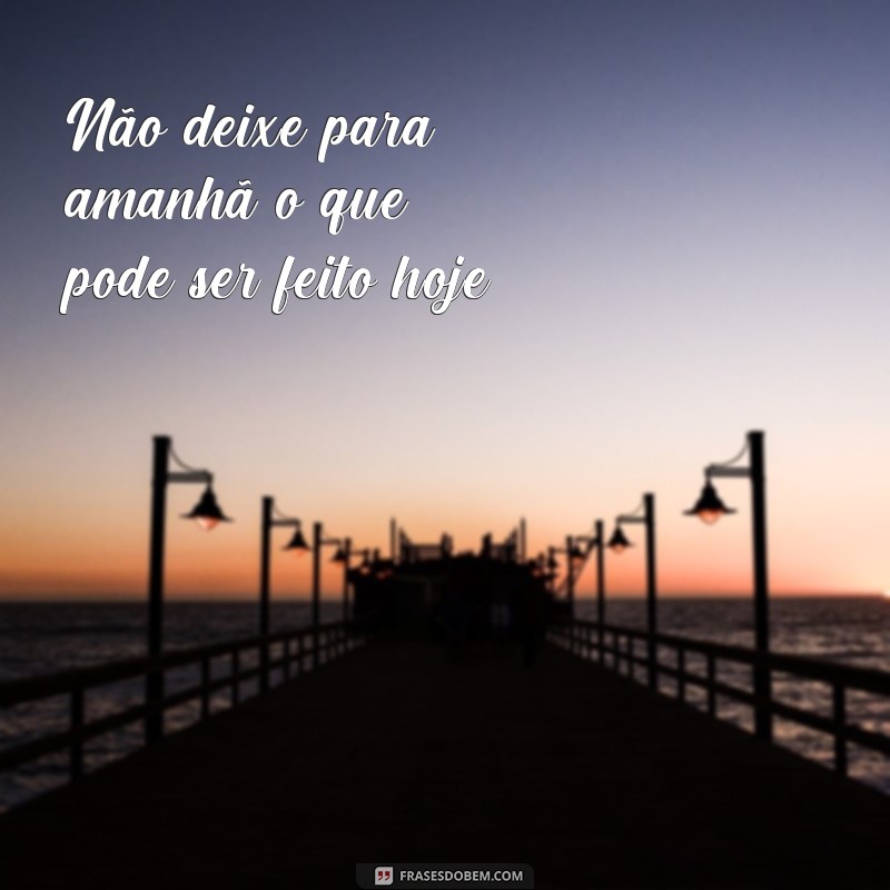 365 dias de inspiração: as melhores frases para cada dia do ano 