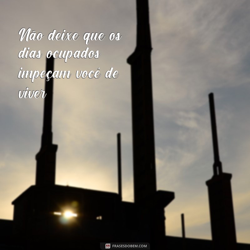 365 dias de inspiração: as melhores frases para cada dia do ano 