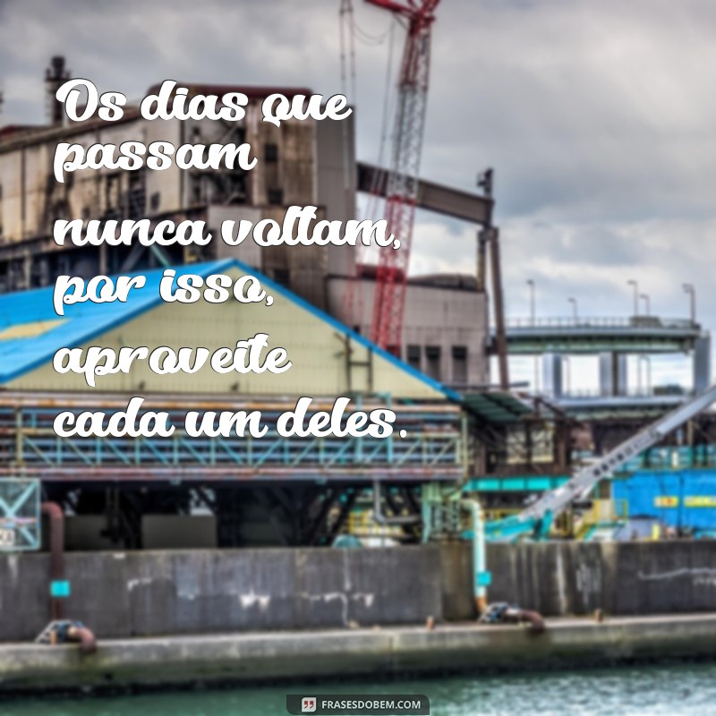 365 dias de inspiração: as melhores frases para cada dia do ano 