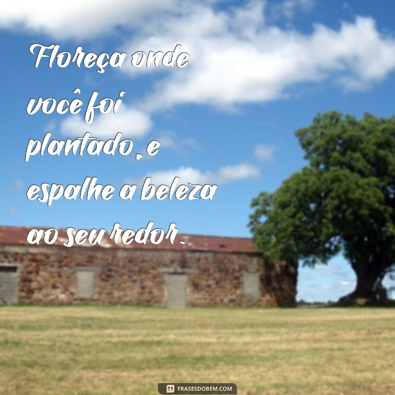 Frases Inspiradoras para Florescer: Cultive sua Alma e Espalhe Positividade 