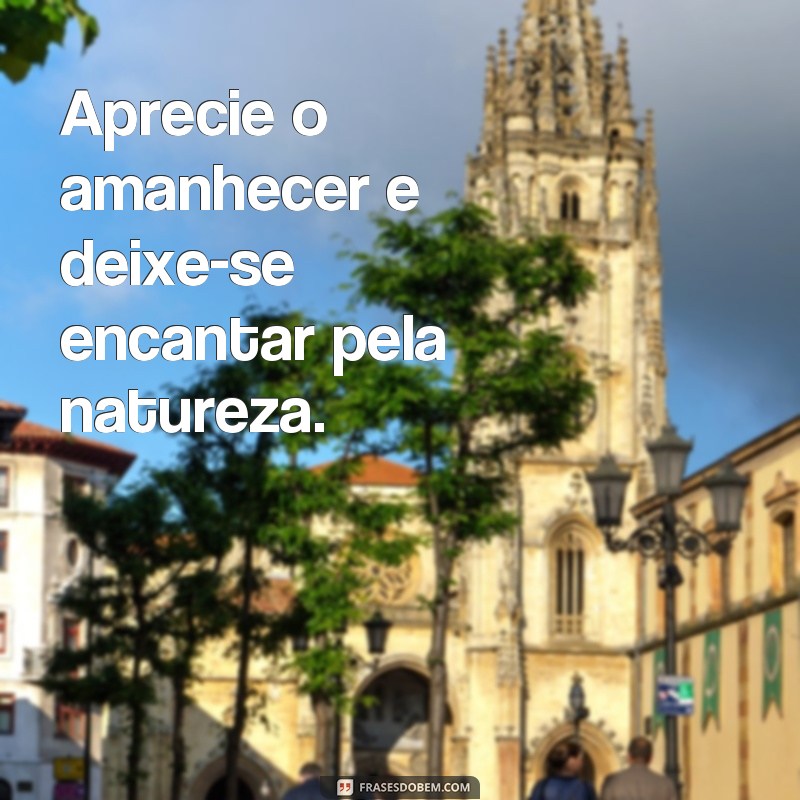 Descubra as Melhores Frases para Começar o Dia em Sintonia com a Natureza 