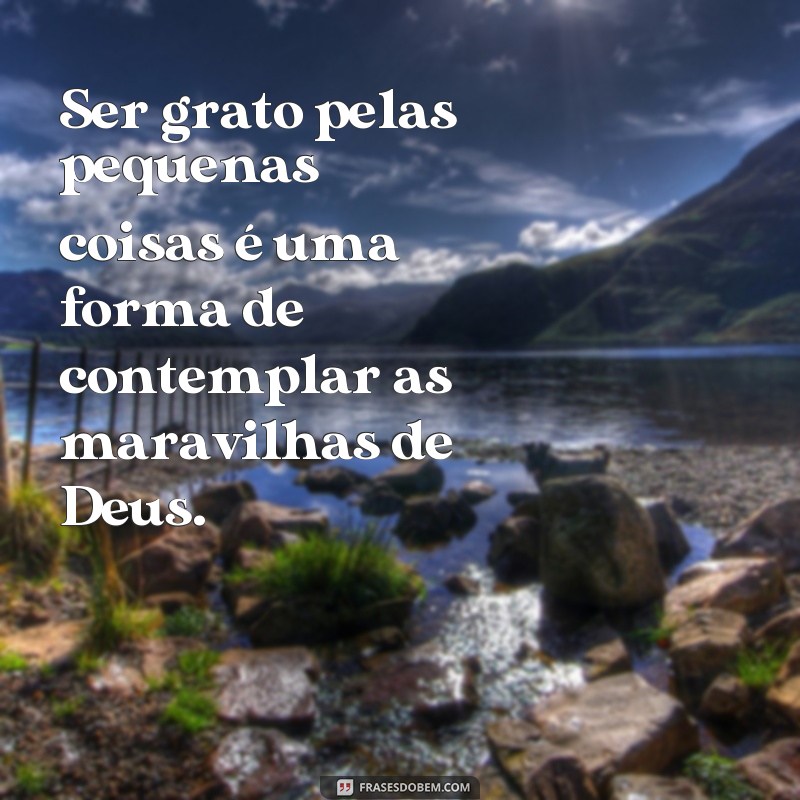 Descubra as Mais Belas Frases para Contemplar as Maravilhas de Deus 