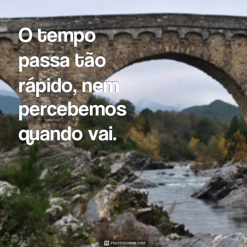 frases poemas sobre o tempo O tempo passa tão rápido, nem percebemos quando vai.