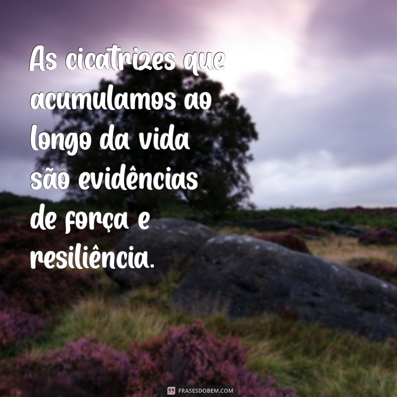 Frases Inspiradoras sobre Experiência: Aprendizados para a Vida 