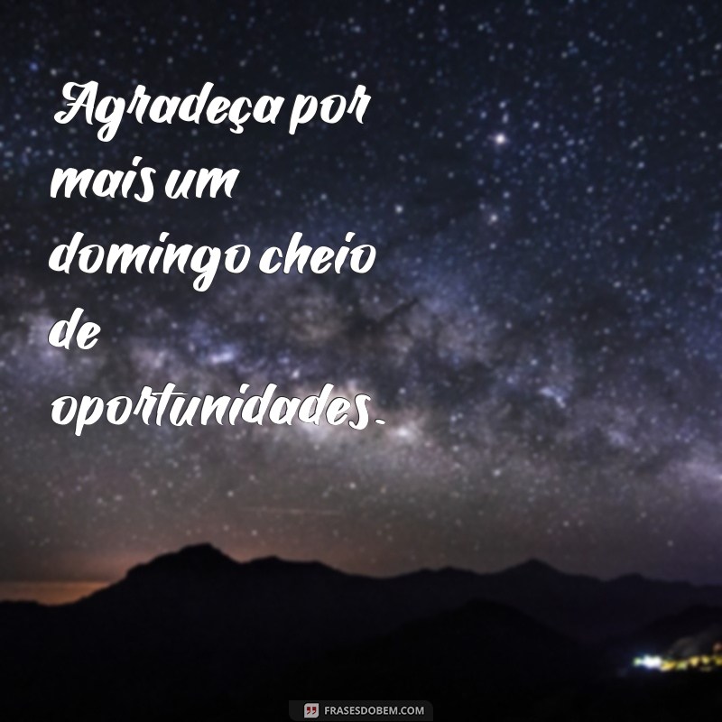 Descubra as melhores frases para desejar uma boa tarde de domingo feliz! 