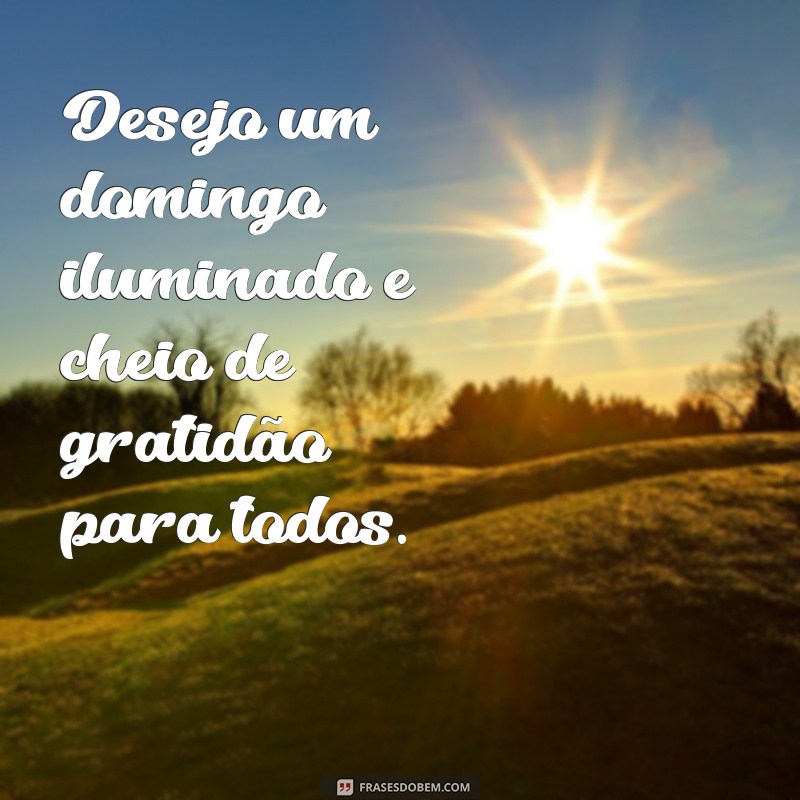 Descubra as melhores frases para desejar uma boa tarde de domingo feliz! 