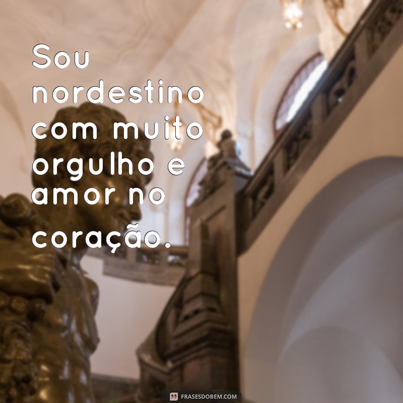 frases orgulho de ser nordestino Sou nordestino com muito orgulho e amor no coração.