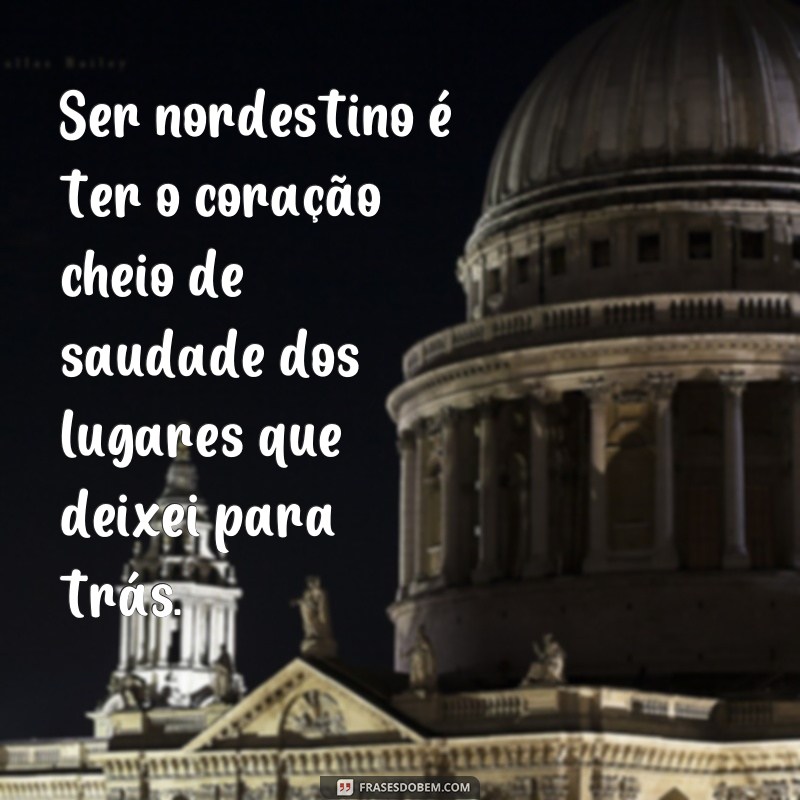 Descubra as melhores frases de orgulho para expressar o amor pela cultura nordestina! 