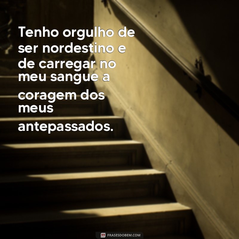 Descubra as melhores frases de orgulho para expressar o amor pela cultura nordestina! 