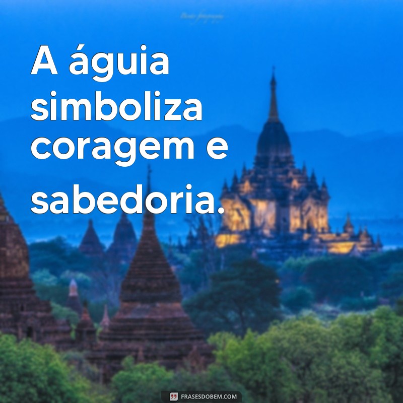 frases sabedoria frases aguia A águia simboliza coragem e sabedoria.