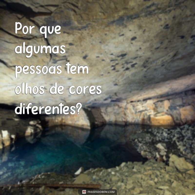 Descubra as melhores frases de curiosos para despertar sua mente 