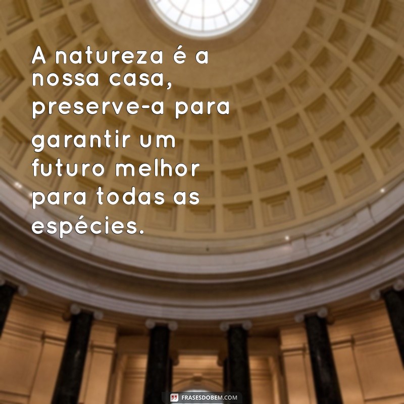 Descubra as melhores frases de preservação da natureza para inspirar a mudança 