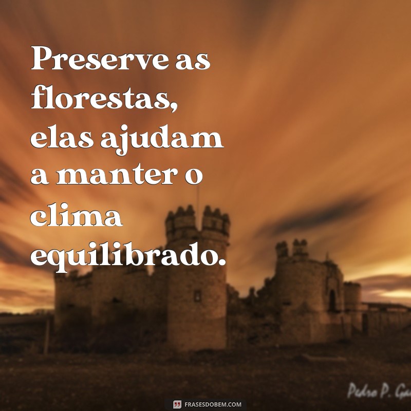 Descubra as melhores frases de preservação da natureza para inspirar a mudança 