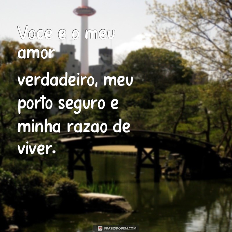 frases texto carinhoso para namorada Você é o meu amor verdadeiro, meu porto seguro e minha razão de viver.