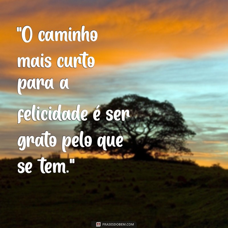 frases para colocar 