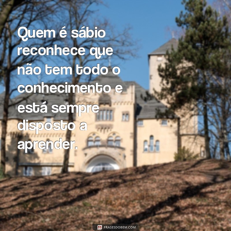 Descubra as melhores frases do livro de Eclesiastes 9 para refletir sobre a vida 