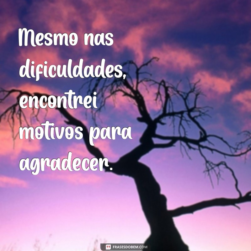 50 Frases Inspiradoras de Gratidão para Agradecer por Tudo na Vida 