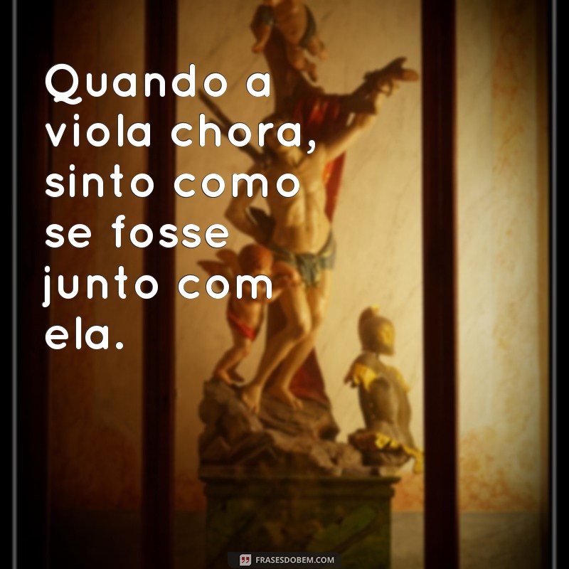 Descubra as melhores frases de viola para encantar seus ouvidos 