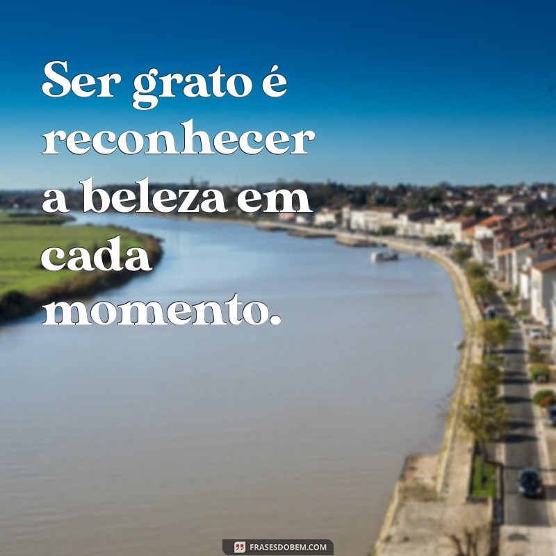 Frases Inspiradoras de Gratidão pela Vida para Status: Espalhe Positividade 