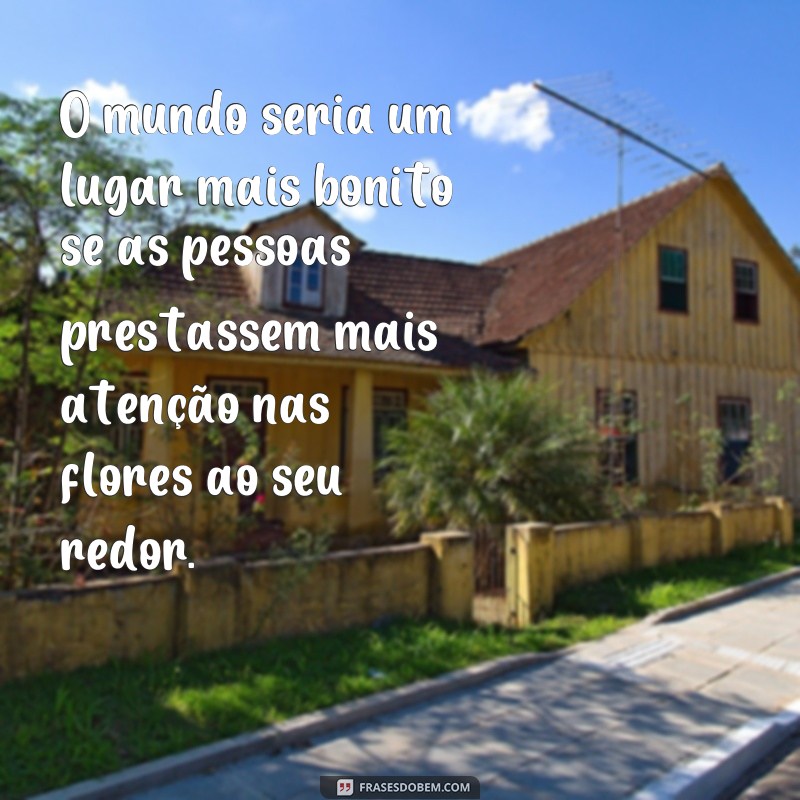 Descubra as mais belas frases para acompanhar suas fotos de flores! 