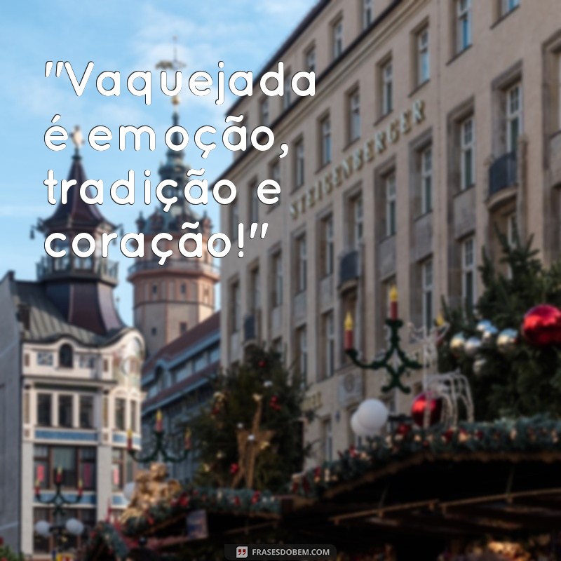 frases de vaquejada para colocar em camisa 