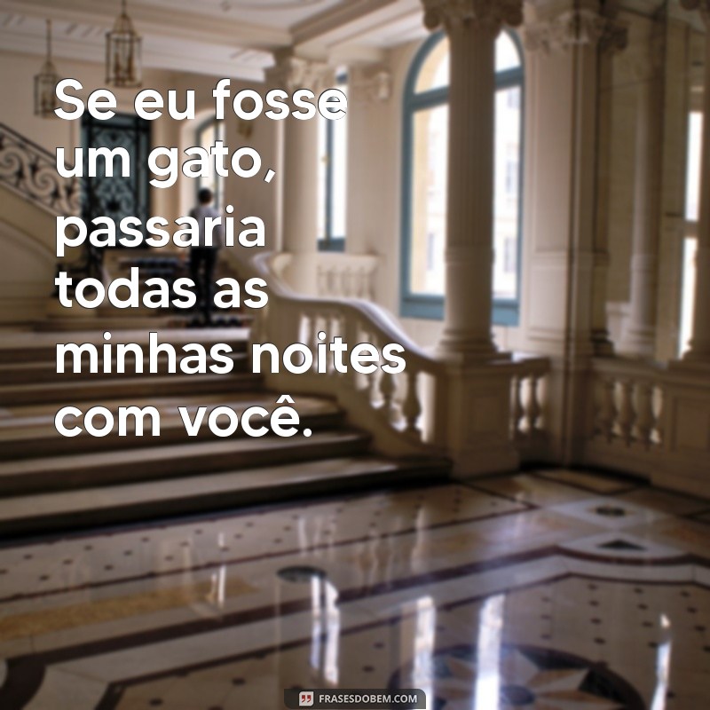 As Melhores Frases de Cantadas Engraçadas para Arrasar na Paquera 