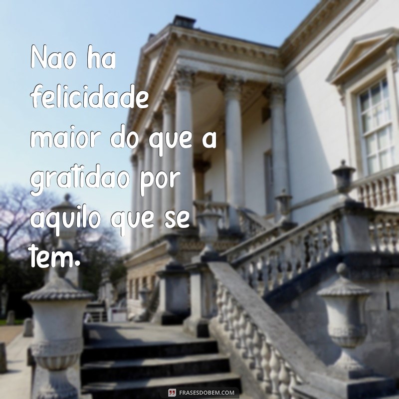 Descubra as melhores frases de reflexão e mensagens de gratidão para inspirar sua vida 