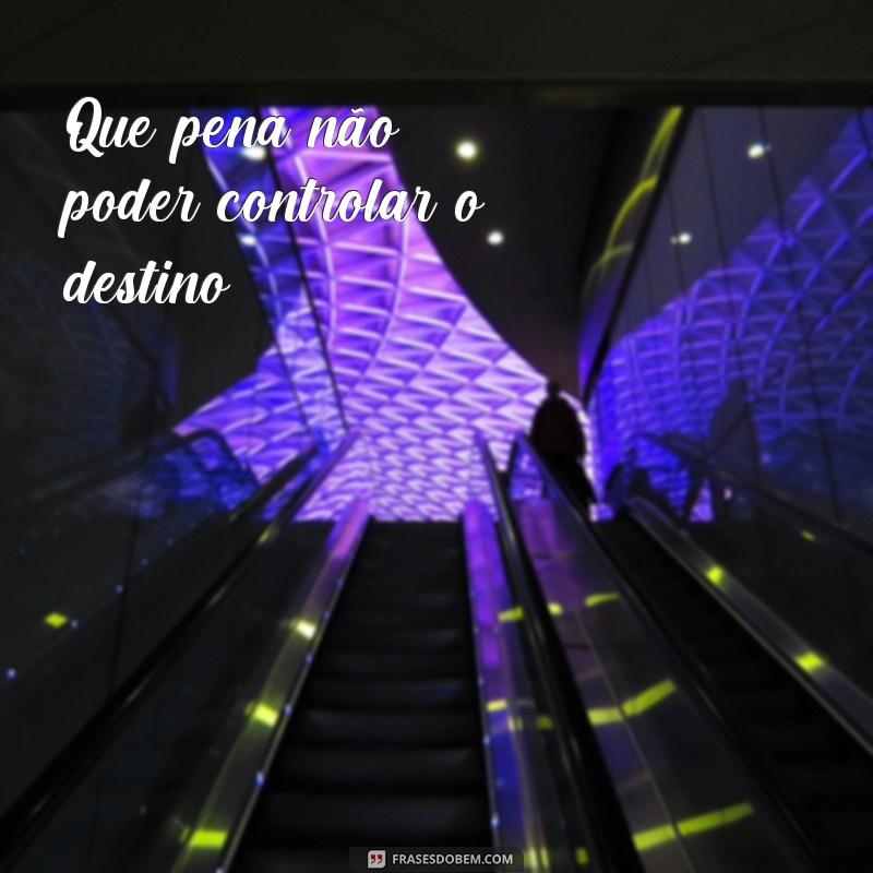 Descubra as melhores frases de pena para expressar seus sentimentos 