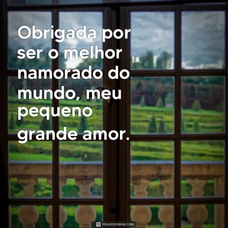 Surpreenda seu amor com as melhores frases textinho para namorado pequeno! 