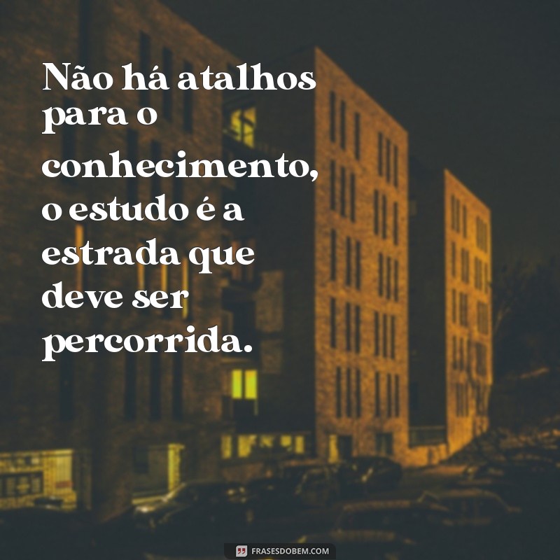 Descubra as melhores frases de estudo no Tumblr para se inspirar e se motivar 