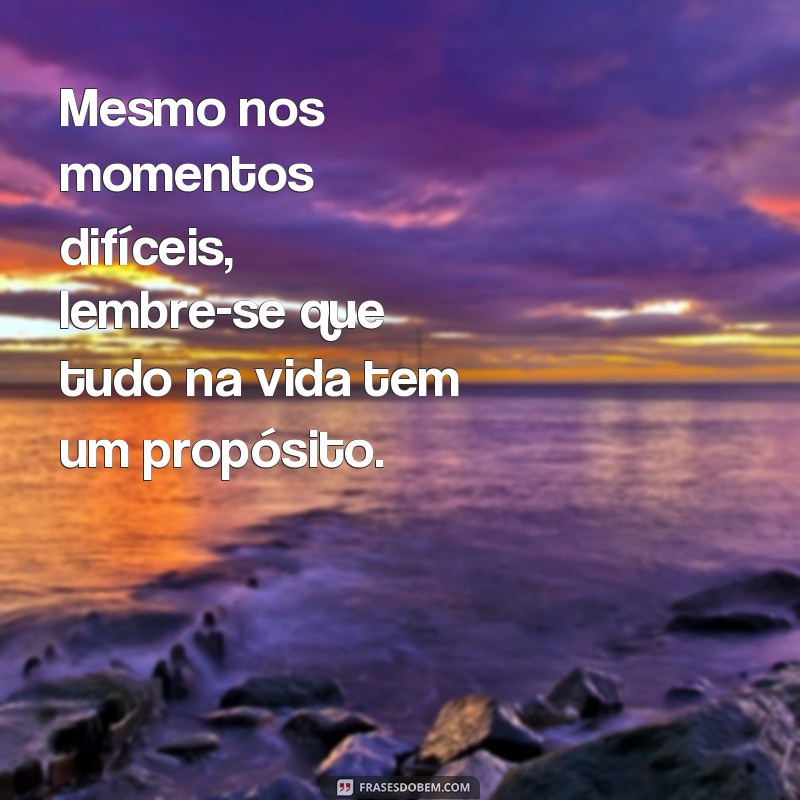 Descubra o verdadeiro significado por trás das frases: Tudo na vida tem um propósito 