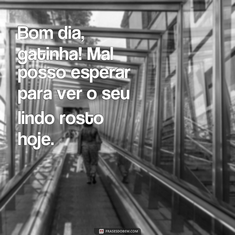 Encante sua gatinha com essas lindas frases de bom dia 