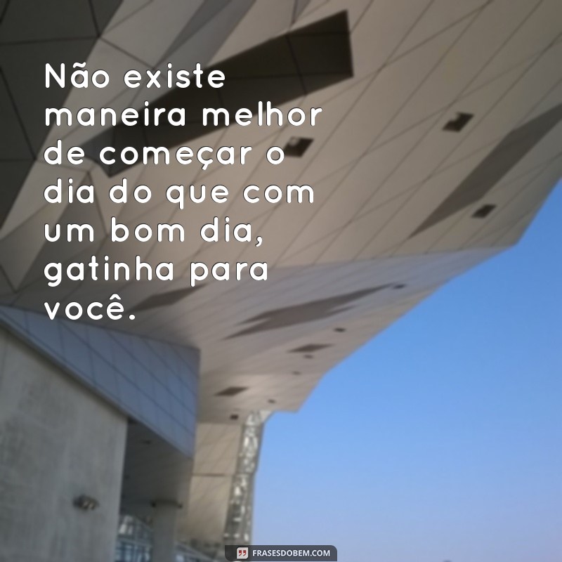 Encante sua gatinha com essas lindas frases de bom dia 