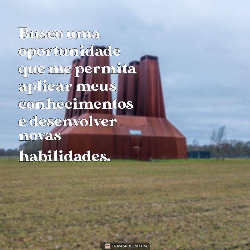 frases de objetivo para curriculum primeiro emprego Busco uma oportunidade que me permita aplicar meus conhecimentos e desenvolver novas habilidades.