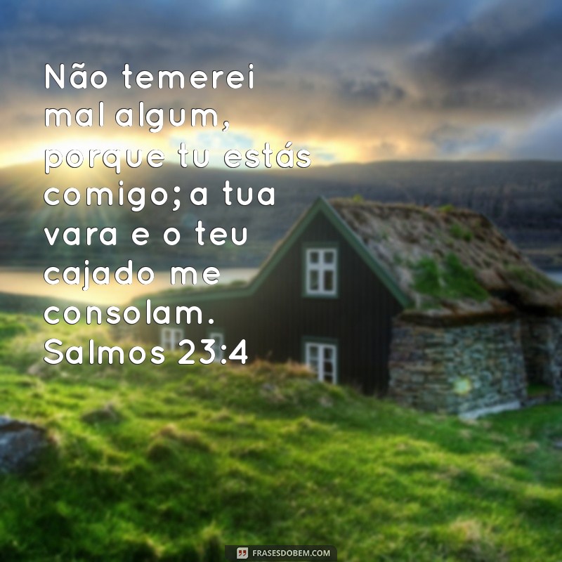 Descubra o poder das Frases de Deus nos Salmos para fortalecer sua fé 