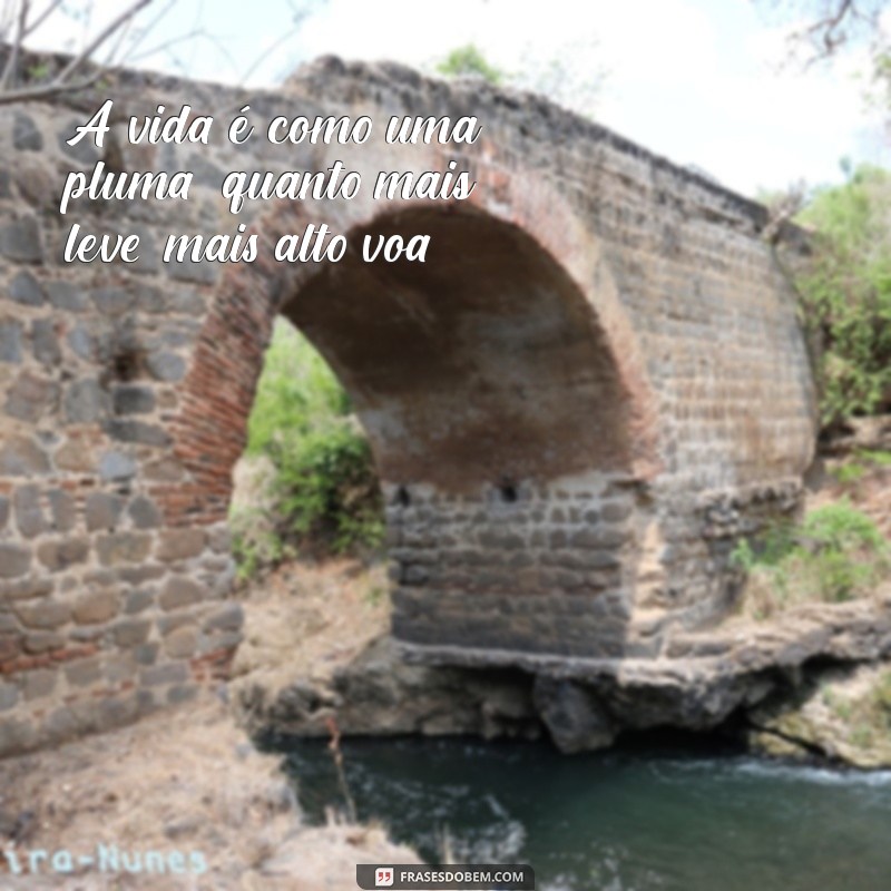 frases seja leve A vida é como uma pluma: quanto mais leve, mais alto voa.