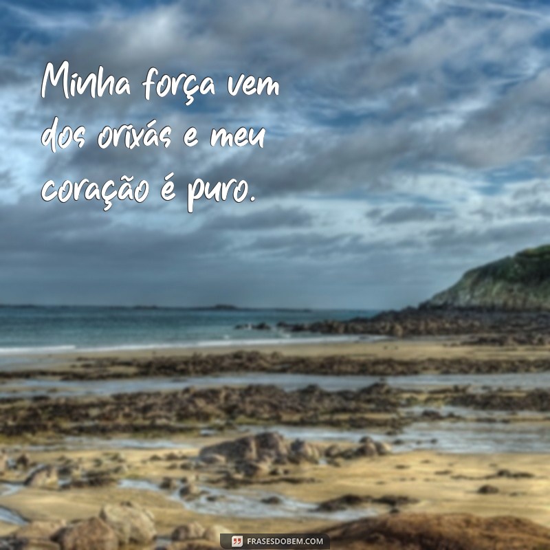 Descubra as melhores frases de Padilha para se inspirar e compartilhar 