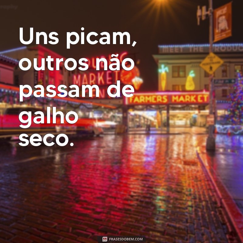 Descubra as melhores frases do icônico personagem Pica-Pau! 