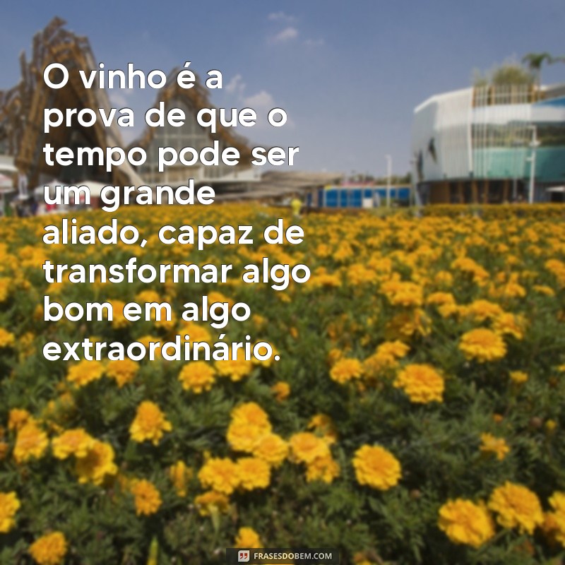 Descubra as melhores frases de vinho para compartilhar no seu Tumblr 