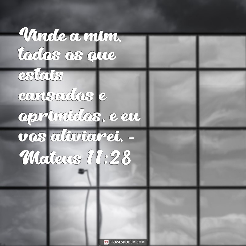 Encontre conforto e esperança nas melhores frases de consolo da Bíblia 