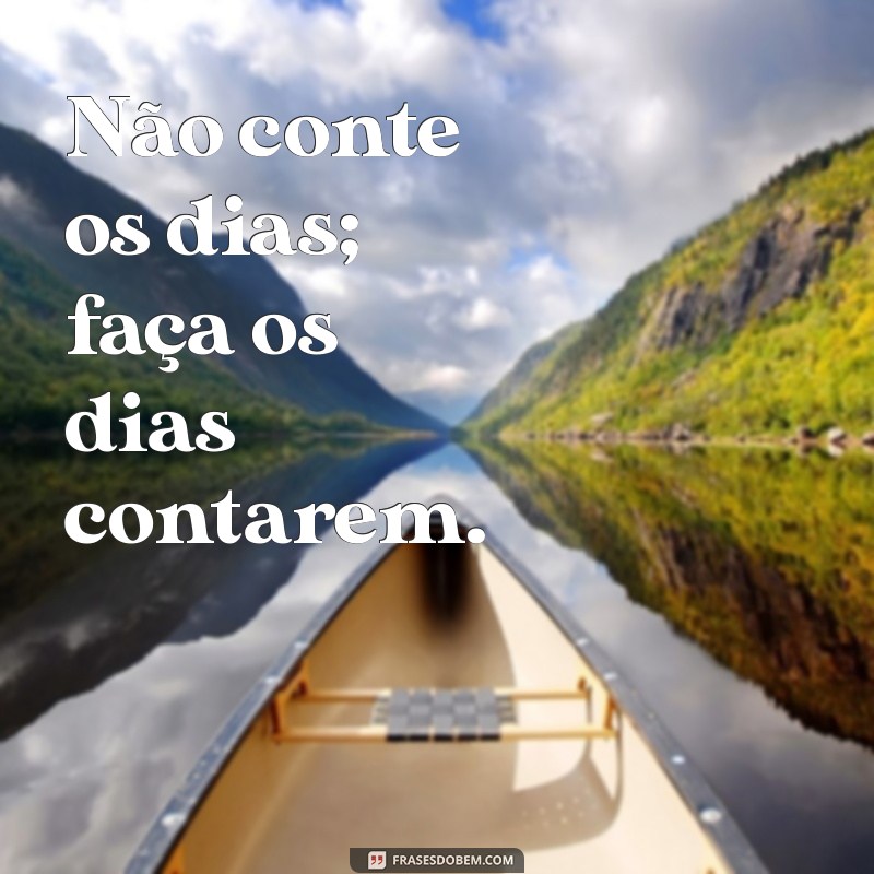 Frases Inspiradoras sobre Viver: Reflexões para uma Vida Plena 